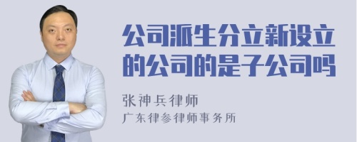 公司派生分立新设立的公司的是子公司吗