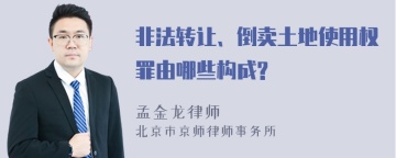 非法转让、倒卖土地使用权罪由哪些构成?