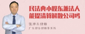 民法典小股东兼法人能提清算解散公司吗