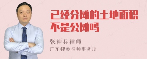 已经分摊的土地面积不是公摊吗