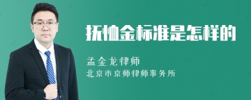 抚恤金标准是怎样的