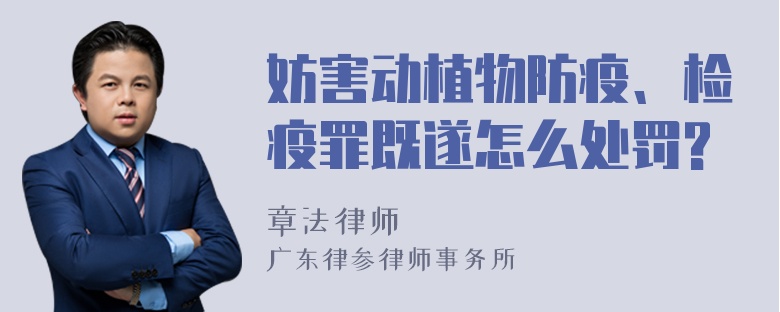 妨害动植物防疫、检疫罪既遂怎么处罚?