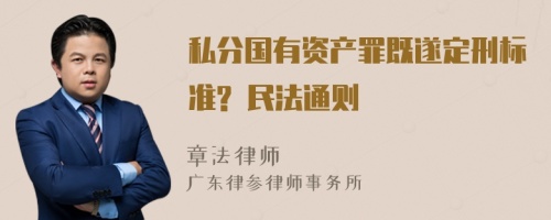 私分国有资产罪既遂定刑标准? 民法通则