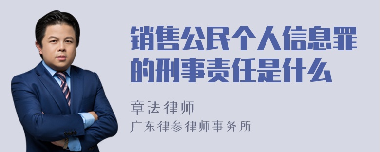 销售公民个人信息罪的刑事责任是什么