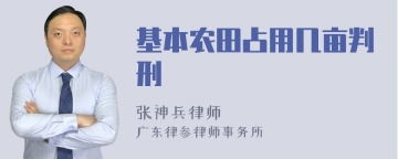 基本农田占用几亩判刑