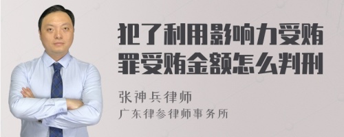 犯了利用影响力受贿罪受贿金额怎么判刑