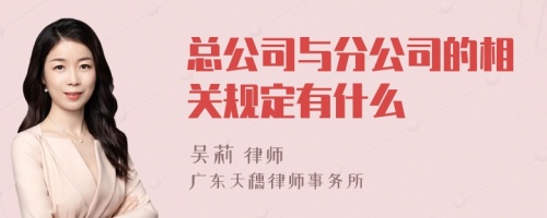 总公司与分公司的相关规定有什么