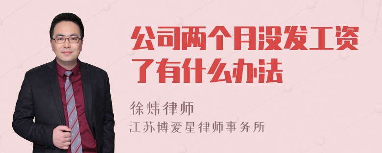 公司两个月没发工资了有什么办法