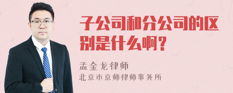 子公司和分公司的区别是什么啊？