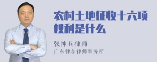 农村土地征收十六项权利是什么