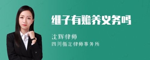 继子有赡养义务吗