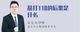 乱打110的后果是什么