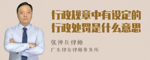 行政规章中有设定的行政处罚是什么意思