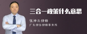 三合一政策什么意思