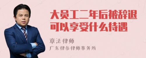 大员工二年后被辞退可以享受什么待遇