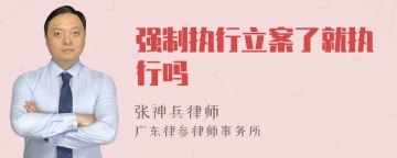 强制执行立案了就执行吗