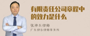 有限责任公司章程中的效力是什么