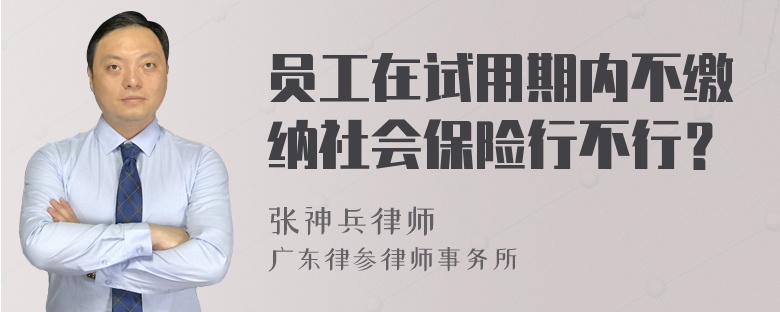 员工在试用期内不缴纳社会保险行不行？