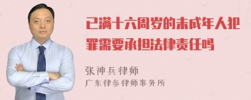 已满十六周岁的未成年人犯罪需要承担法律责任吗