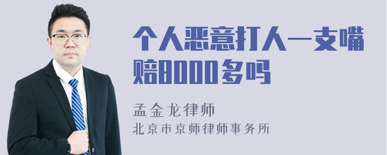 个人恶意打人一支嘴赔8000多吗