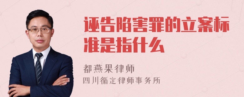 诬告陷害罪的立案标准是指什么