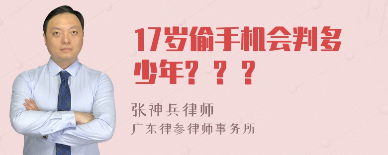 17岁偷手机会判多少年? ? ?