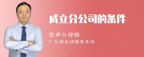 成立分公司的条件