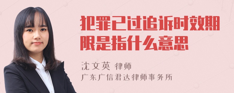 犯罪已过追诉时效期限是指什么意思