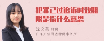 犯罪已过追诉时效期限是指什么意思