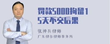 罚款5000拘留15天不交后果