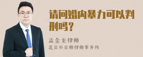 请问婚内暴力可以判刑吗？