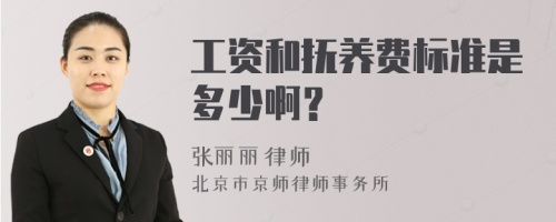 工资和抚养费标准是多少啊？