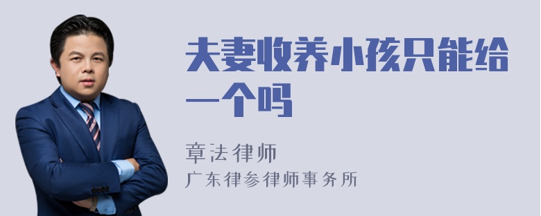 夫妻收养小孩只能给一个吗