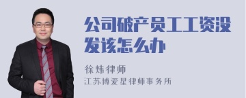 公司破产员工工资没发该怎么办