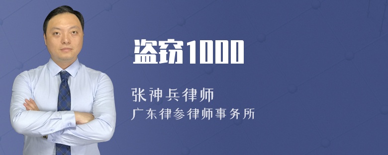 盗窃1000