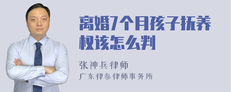 离婚7个月孩子抚养权该怎么判