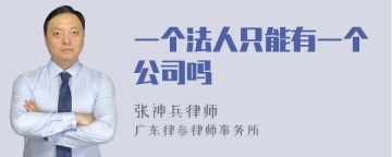 一个法人只能有一个公司吗