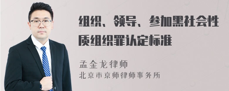 组织、领导、参加黑社会性质组织罪认定标准