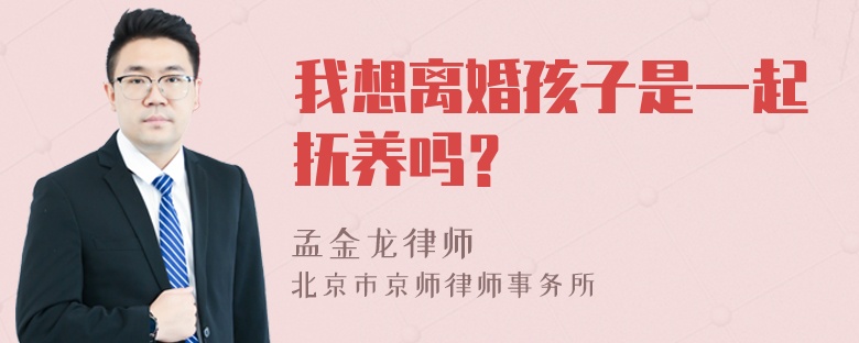 我想离婚孩子是一起抚养吗？