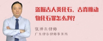 盗掘古人类化石、古脊椎动物化石罪怎么判?