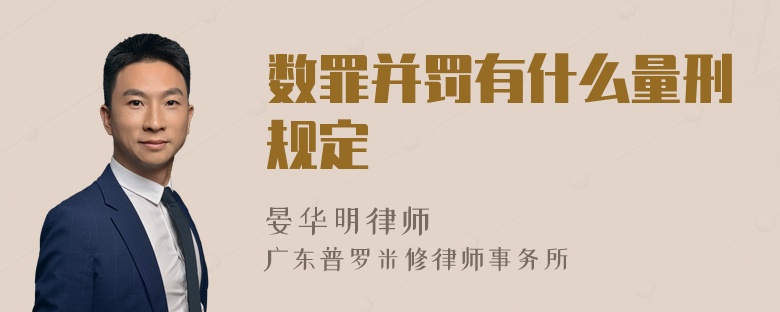 数罪并罚有什么量刑规定