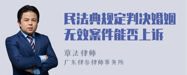 民法典规定判决婚姻无效案件能否上诉