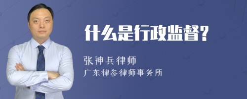 什么是行政监督?