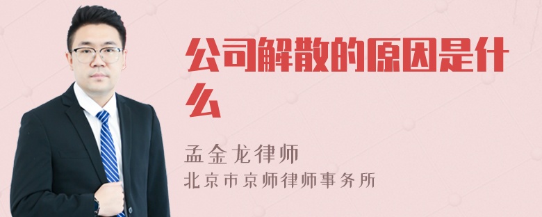 公司解散的原因是什么