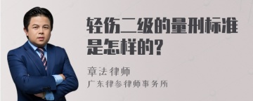 轻伤二级的量刑标准是怎样的?