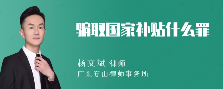 骗取国家补贴什么罪