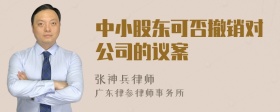 中小股东可否撤销对公司的议案