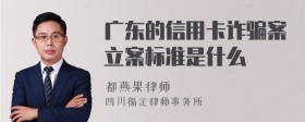 广东的信用卡诈骗案立案标准是什么