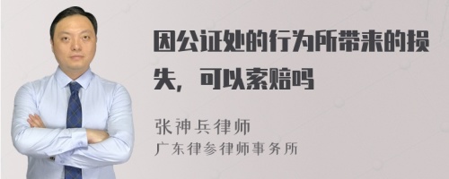 因公证处的行为所带来的损失，可以索赔吗