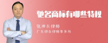 驰名商标有哪些特权